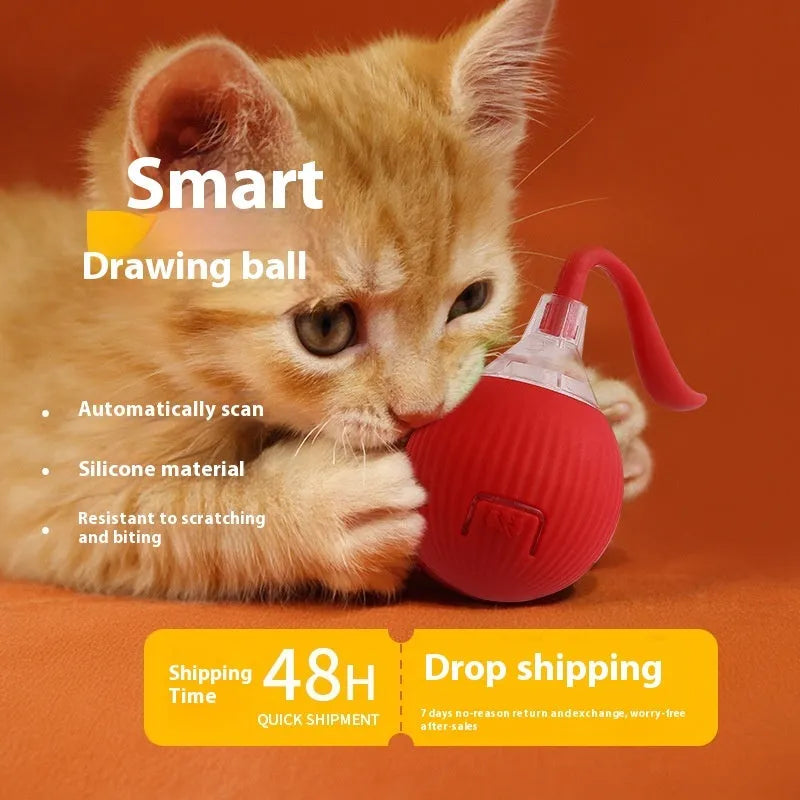 Interactive electronic cat toy ball with automatic rolling features on hardwood floor