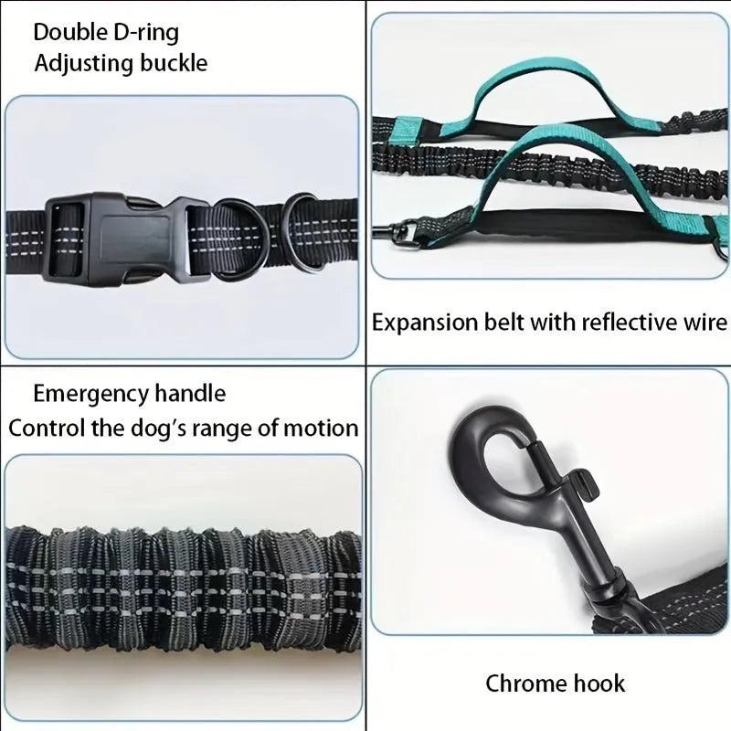 Nylon hands-free dog leash with adjustable waist belt shown in multiple colours