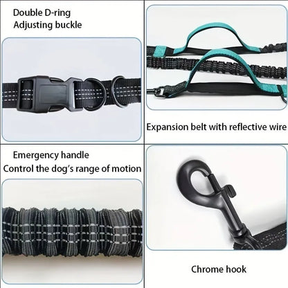 Nylon hands-free dog leash with adjustable waist belt shown in multiple colours