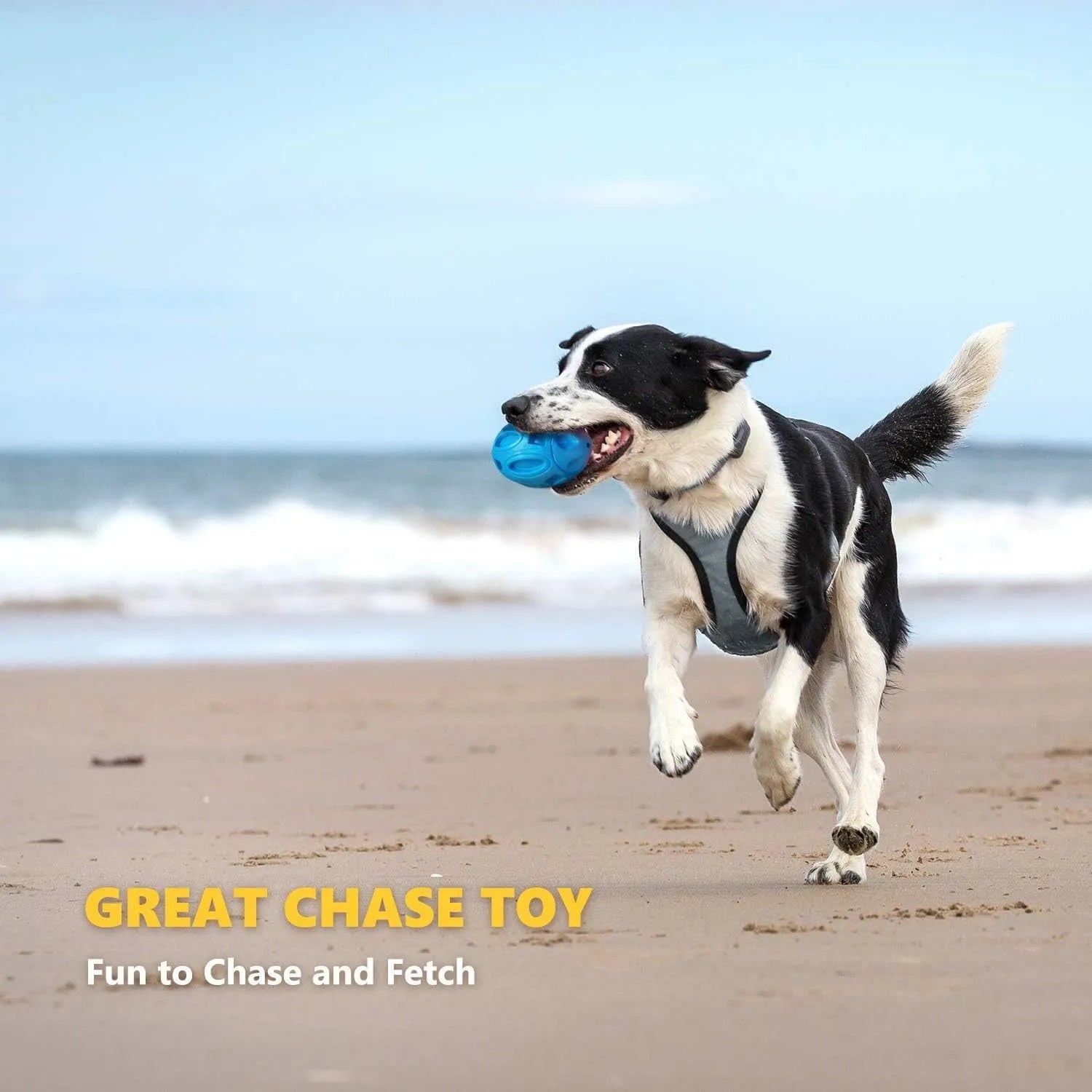 Blue green orange squeaky rubber chew ball dog toy for aggressive chewers