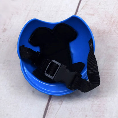 Plastic dog motorcycle cap helmet in Japanese style on a small dog