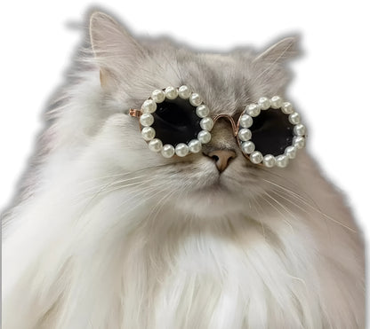 Pearl-trimmed round sunglasses for cats and dogs in five colour options