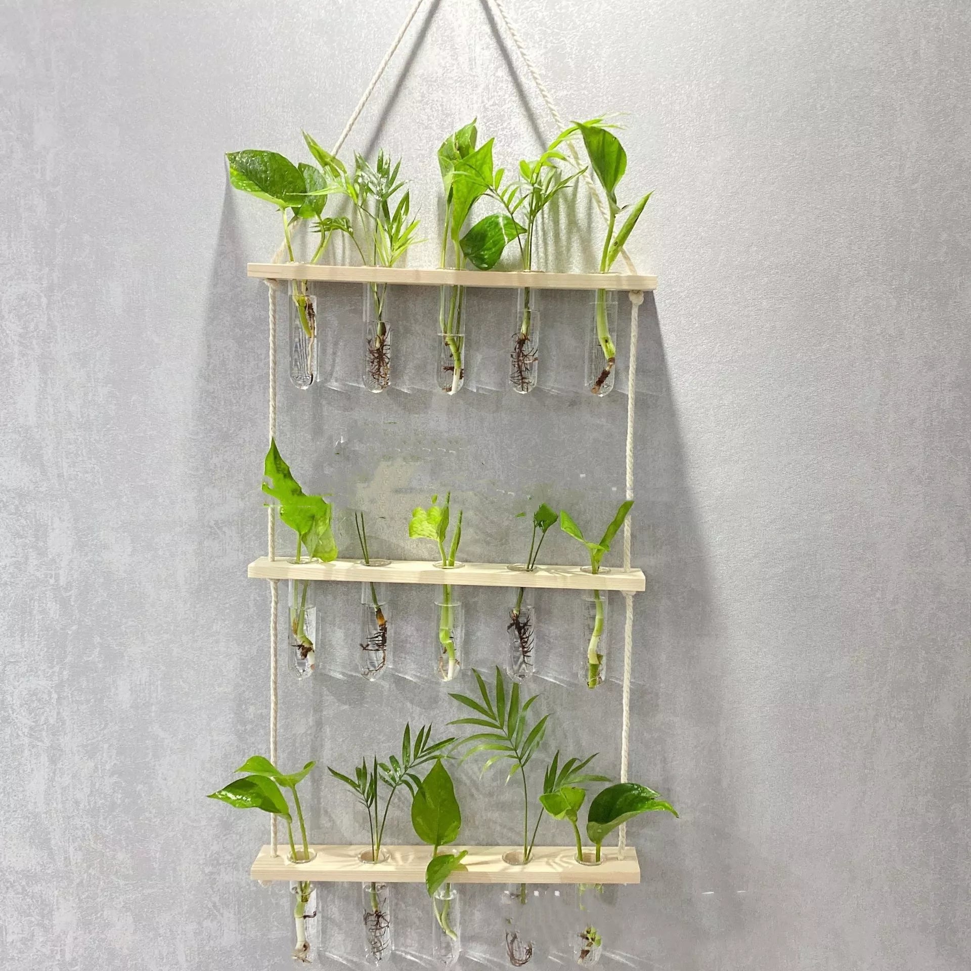 Creative Hydroponics Wall Hanging Vase with 15 test tubes in a wooden frame