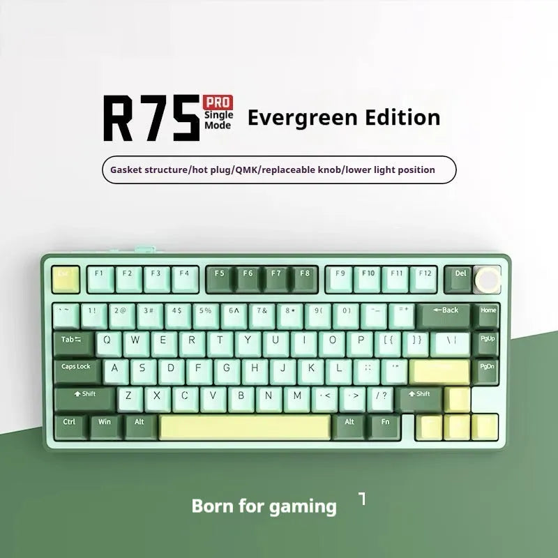 Wireless mechanical keyboard with RGB backlighting and hot-swappable key switches.