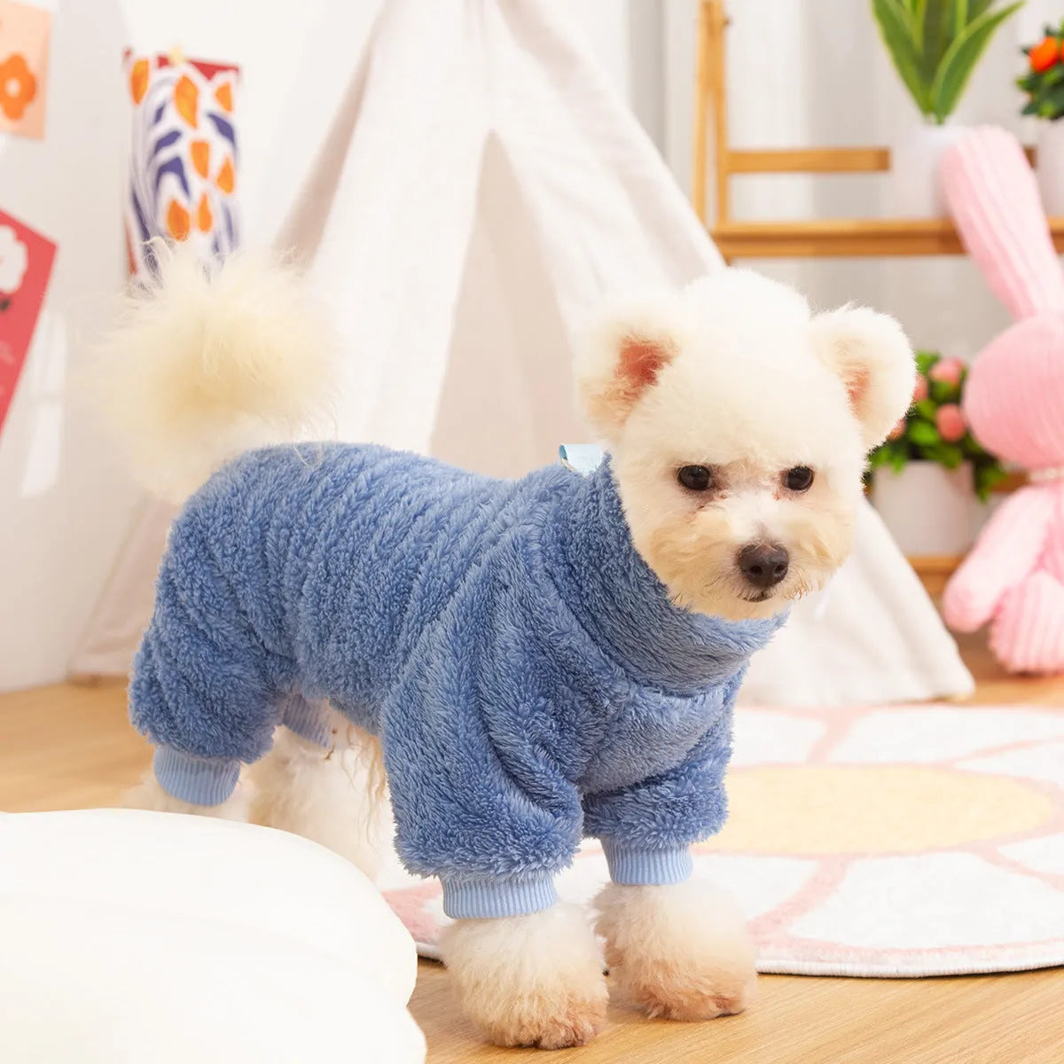 A dog wearing a blue, double-sided plush, four-legged coat with a high collar and a small towing ring visible.