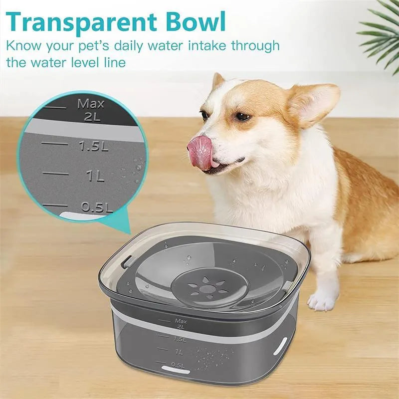 Transparent 70oz dog water bowl with floating disk, showing water level indicator and non-slip base