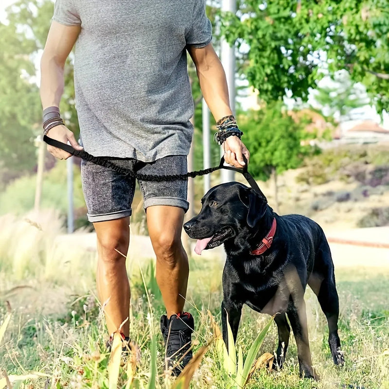 Retractable leash for large dogs with durable nylon tape and anti-burst technology for safe, secure walks, available in black, green, and khaki colour options.