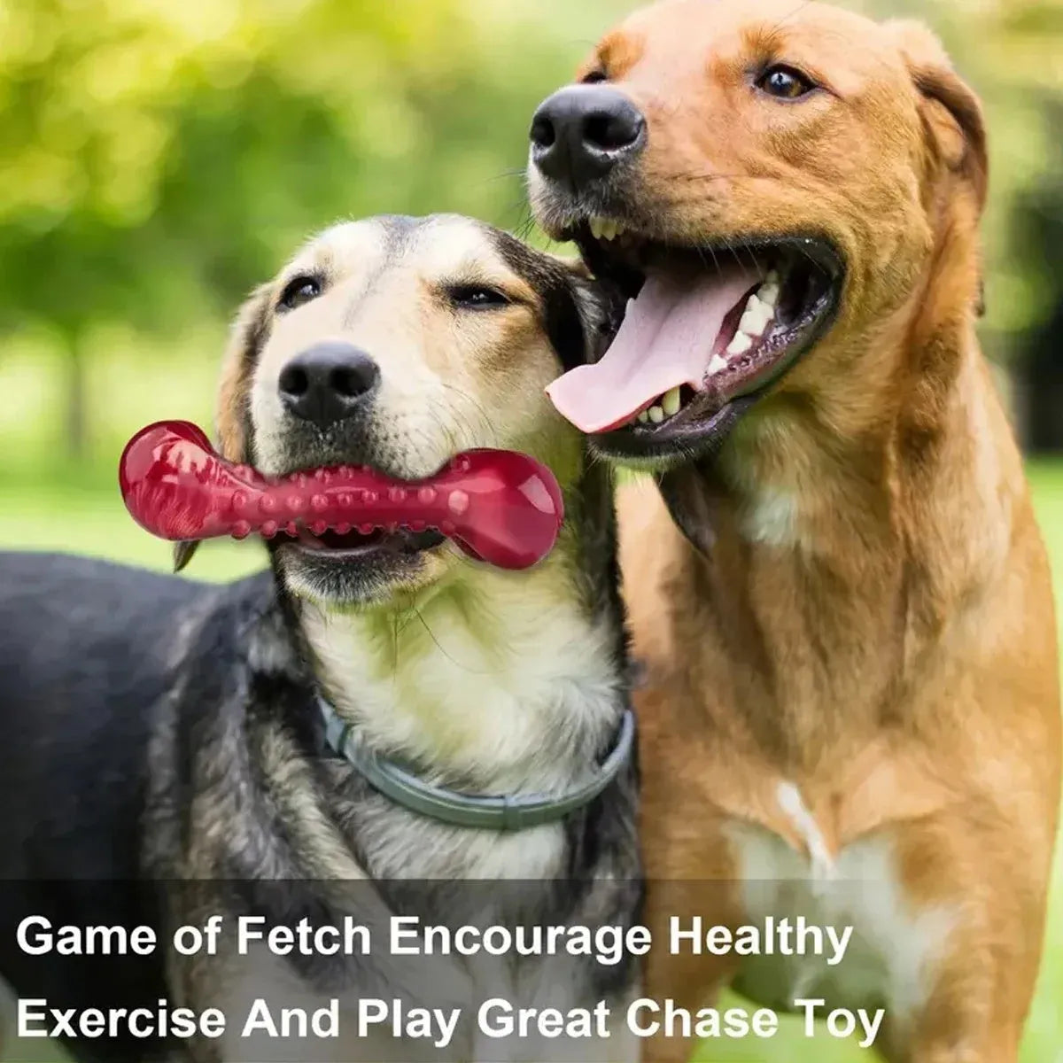 Red natural rubber chew toy for aggressive dogs with durable construction