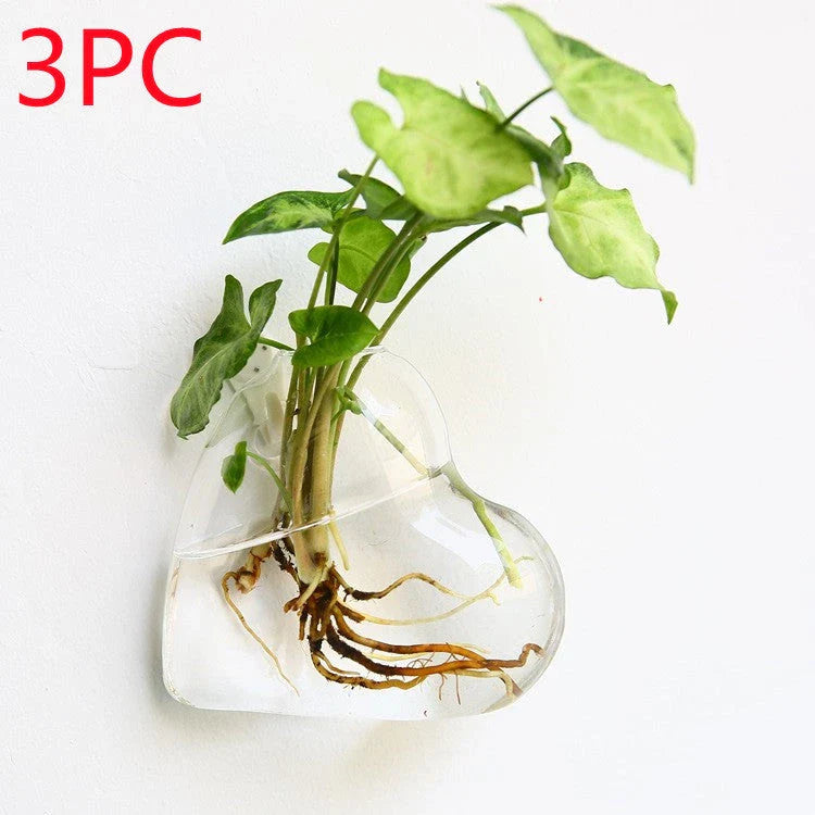 Wall-mounted glass flower vase and terrarium with various design options for customization and decoration