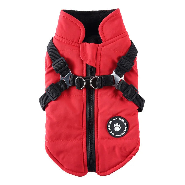 Chest strap dog jacket in polyester material showing harness-style design and cotton-padded construction