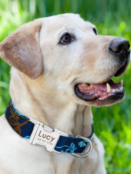 Adjustable dog collar in black, green, or rose red with buckle fastening in small, medium, or large sizes