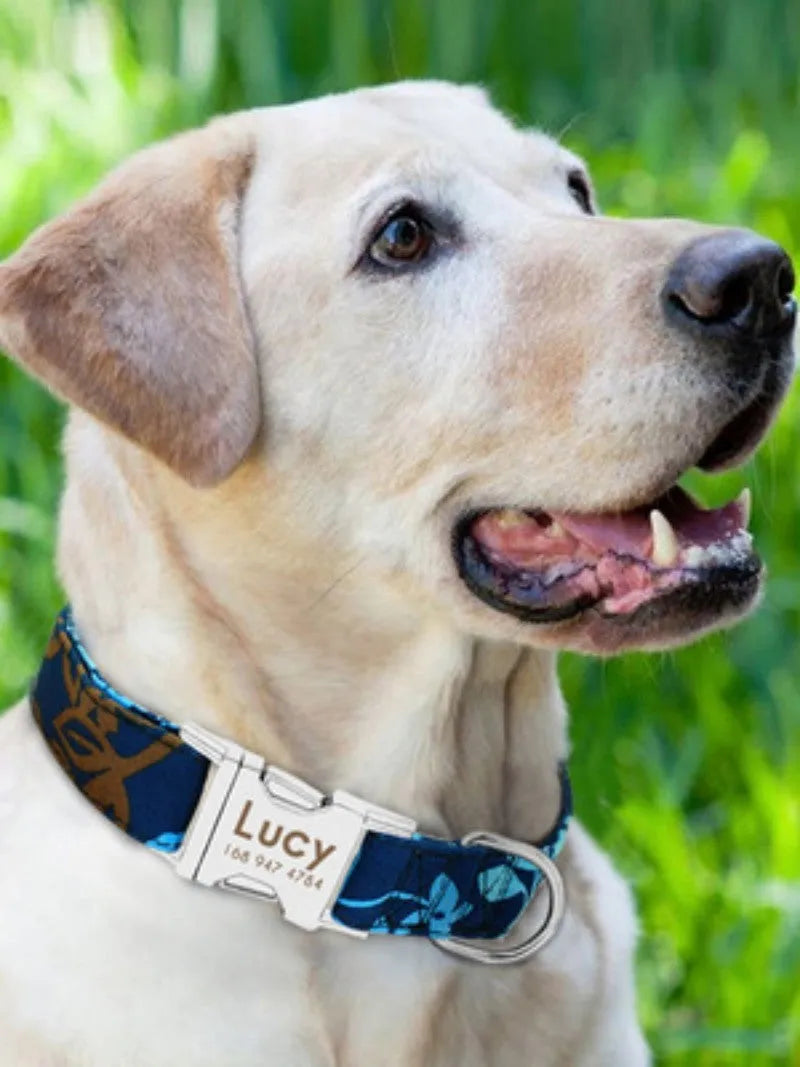 Dog collar for general pets available in three adjustable sizes small medium and large with choice of black green or rose red colours and simple buckle fastening