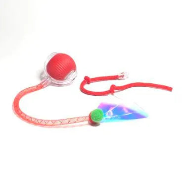 Interactive electronic cat toy ball with automatic rolling features on hardwood floor
