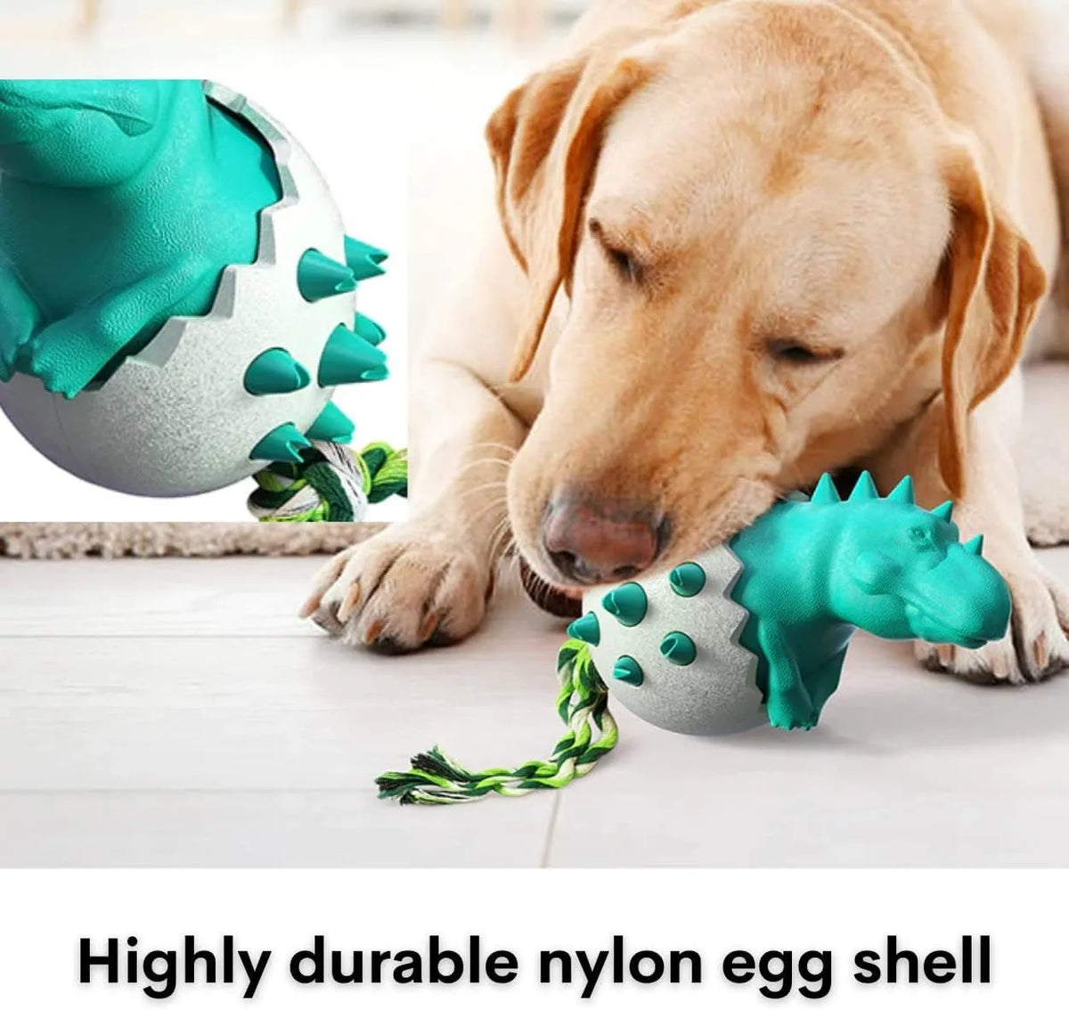 Blue dinosaur-shaped dog chew toy with rope attached, showing textured surface with nubs and grooves