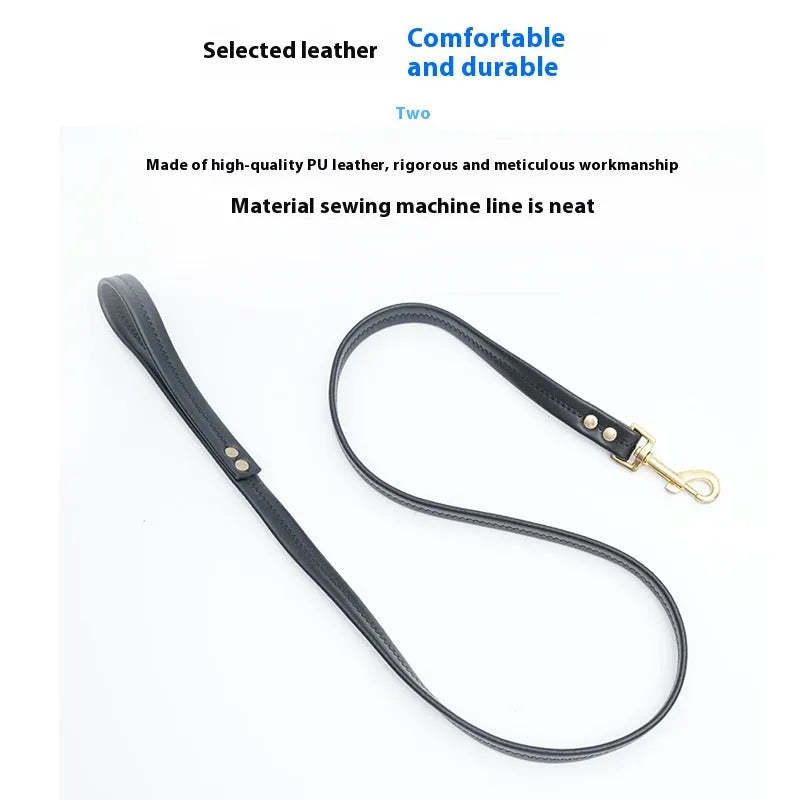 Black PU leather dog lead with brass buckle and padded handle, laid out to show length.