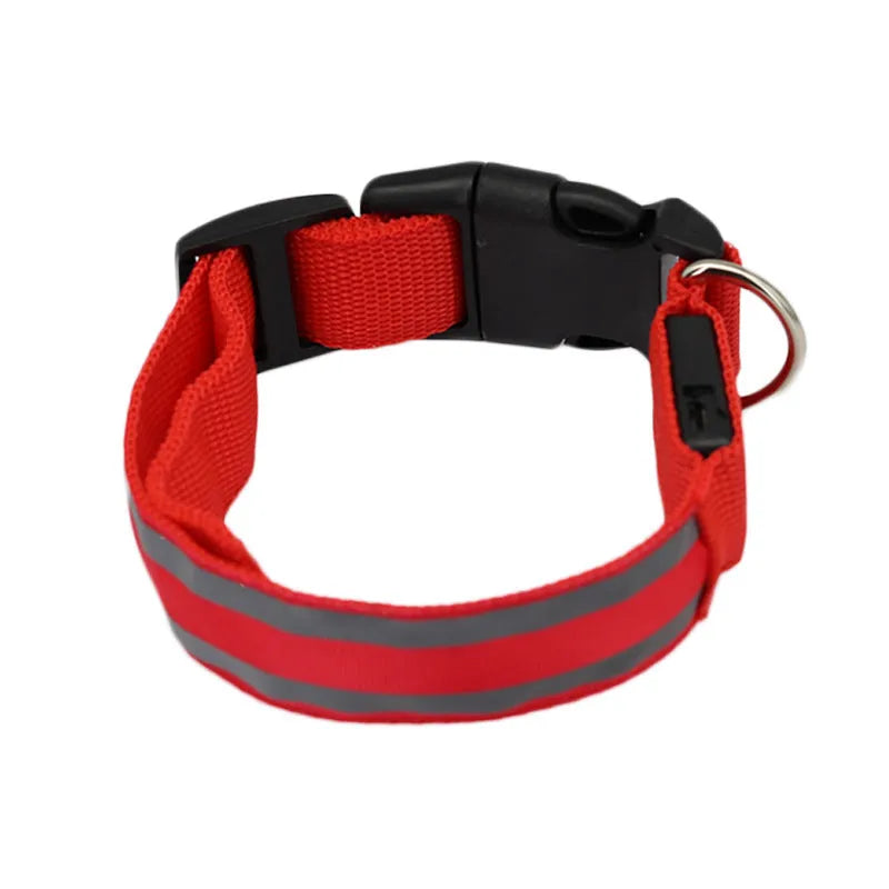 LED luminous dog collar with nylon webbing in multiple colour options showing illumination