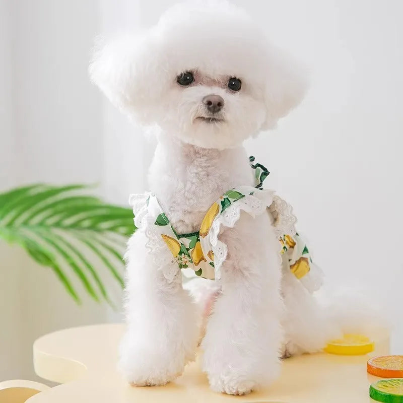 Rock yellow lemon coloured dog dress with thin breathable fabric and strap skirt in princess style