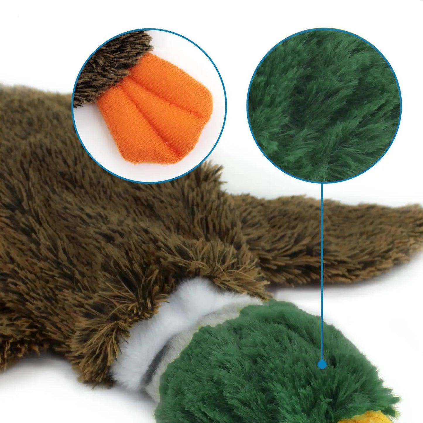 Green stuffless wild duck dog toy with squeakers showing bottle cavity opening