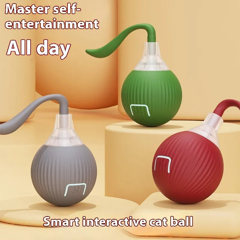 Interactive electronic cat toy ball with automatic rolling features on hardwood floor
