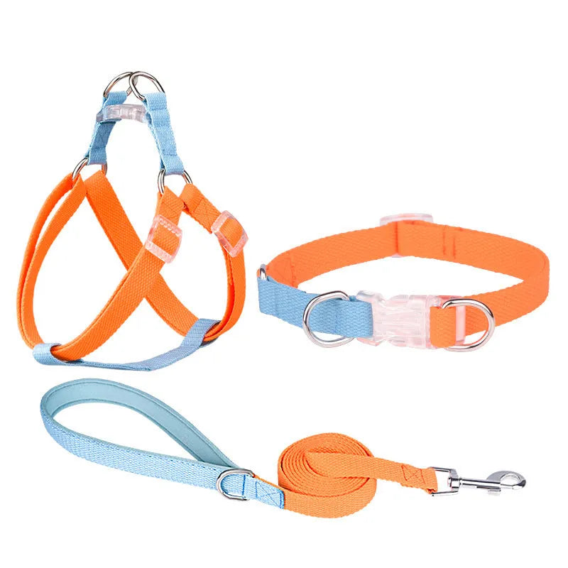 Polyester ribbon dog collar and lead set with chest strap in assorted colours.