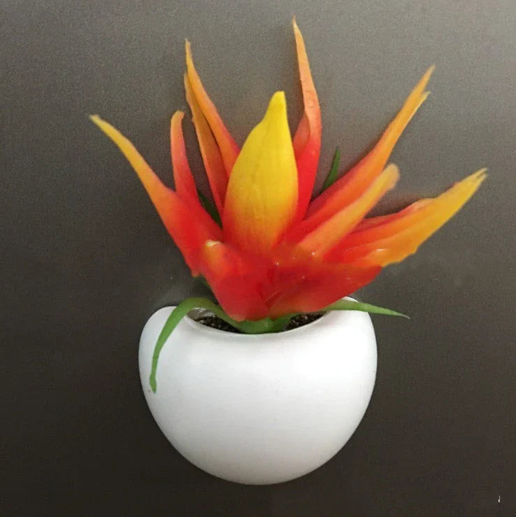 Realistic-looking succulent fridge magnets in various styles, designed to add natural charm and low-maintenance decor to any kitchen or home