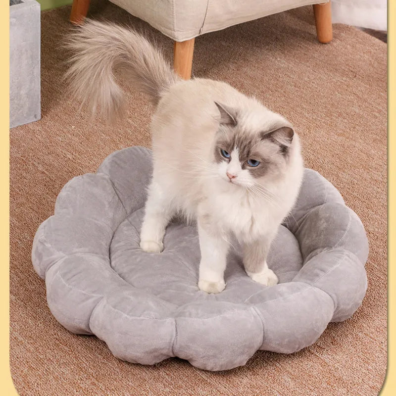 Blue, grey, pink, and yellow 50cm square plush pet bed with half-surrounded petal design.