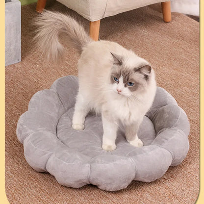 Blue, grey, pink, and yellow 50cm square plush pet bed with half-surrounded petal design.