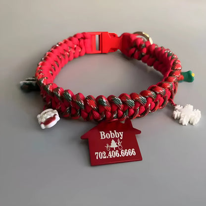 Green rope dog leash with P chain and a metal release buckle, held in a person's hand.