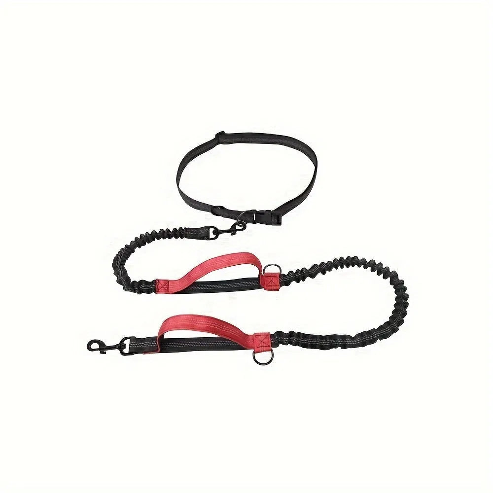 Nylon hands-free dog leash with adjustable waist belt shown in multiple colours