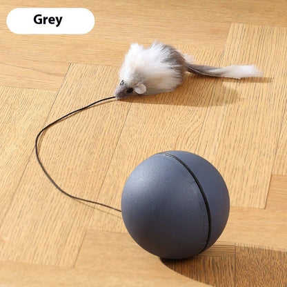 Automatic cat teasing ball with plush mouse for interactive pet play