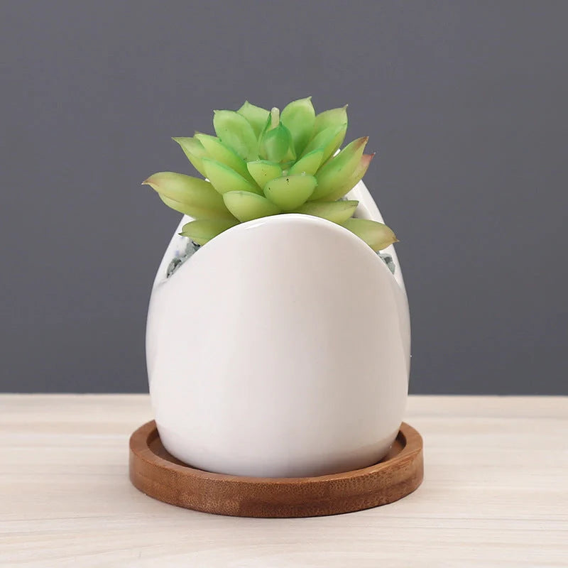 Creative cartoon ceramic succulent pot with drainage hole for healthy plant growth