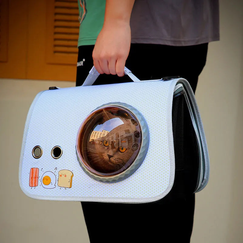 Transparent nylon pet carrier bag with cartoon pattern and 12kg capacity for small pets