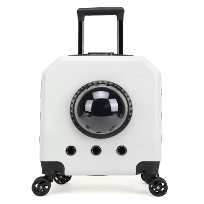 Hard PVC pet trolley flight case in orange colour with wheels and a pull handle.