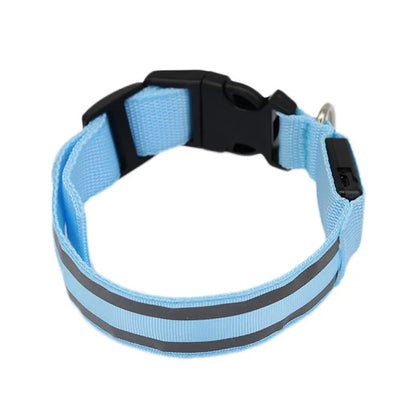 LED luminous dog collar with nylon webbing in multiple colour options showing illumination