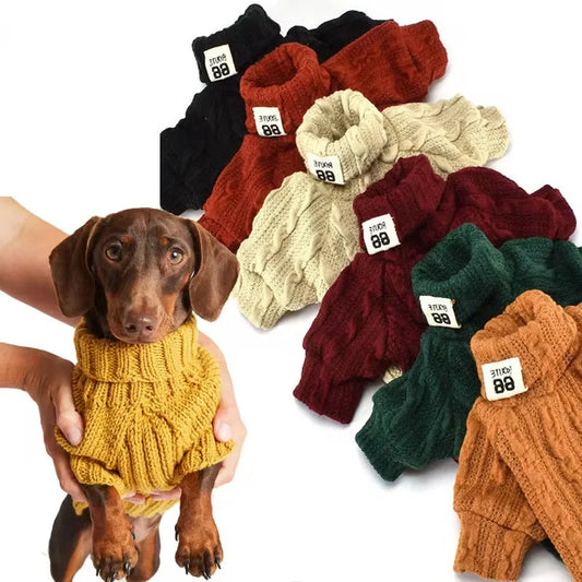 Cosy dog turtleneck sweater in various colours and sizes for small to medium pups