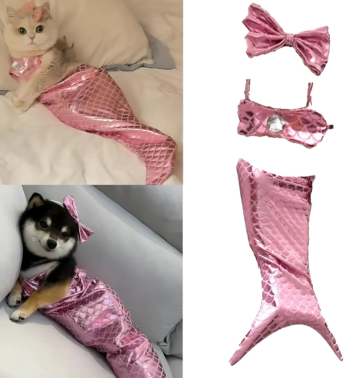 Blue pet mermaid costume with fish tail on a small cat, showing elastic chest strap and decorative bow.