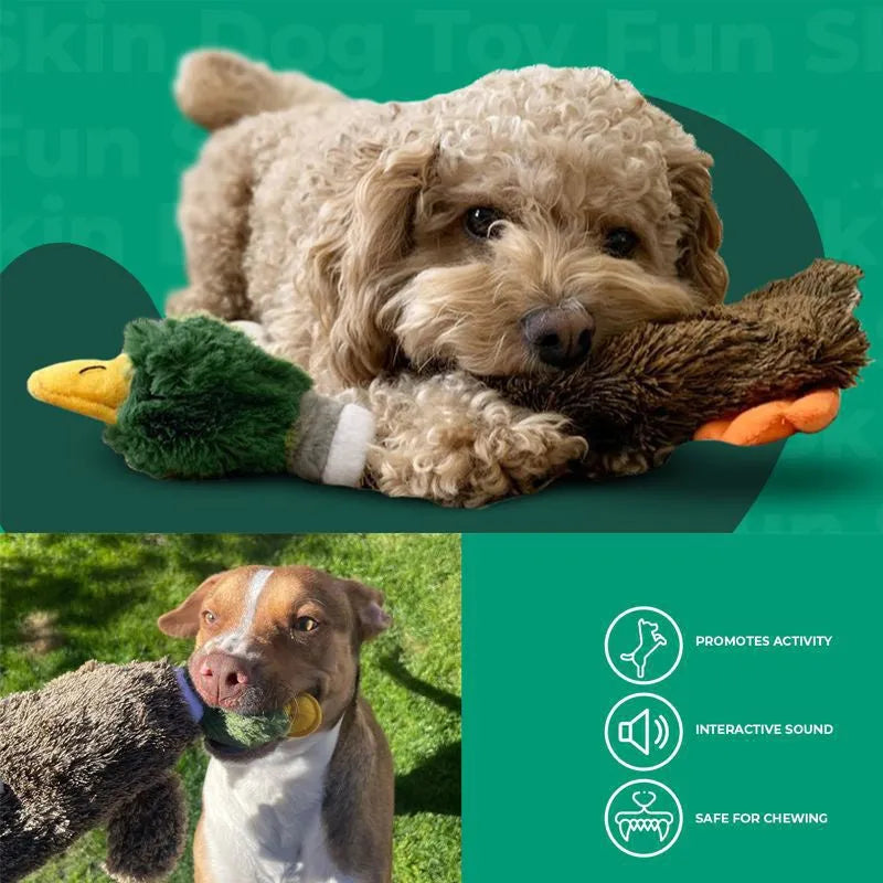 Green stuffless wild duck dog toy with squeakers showing bottle cavity opening