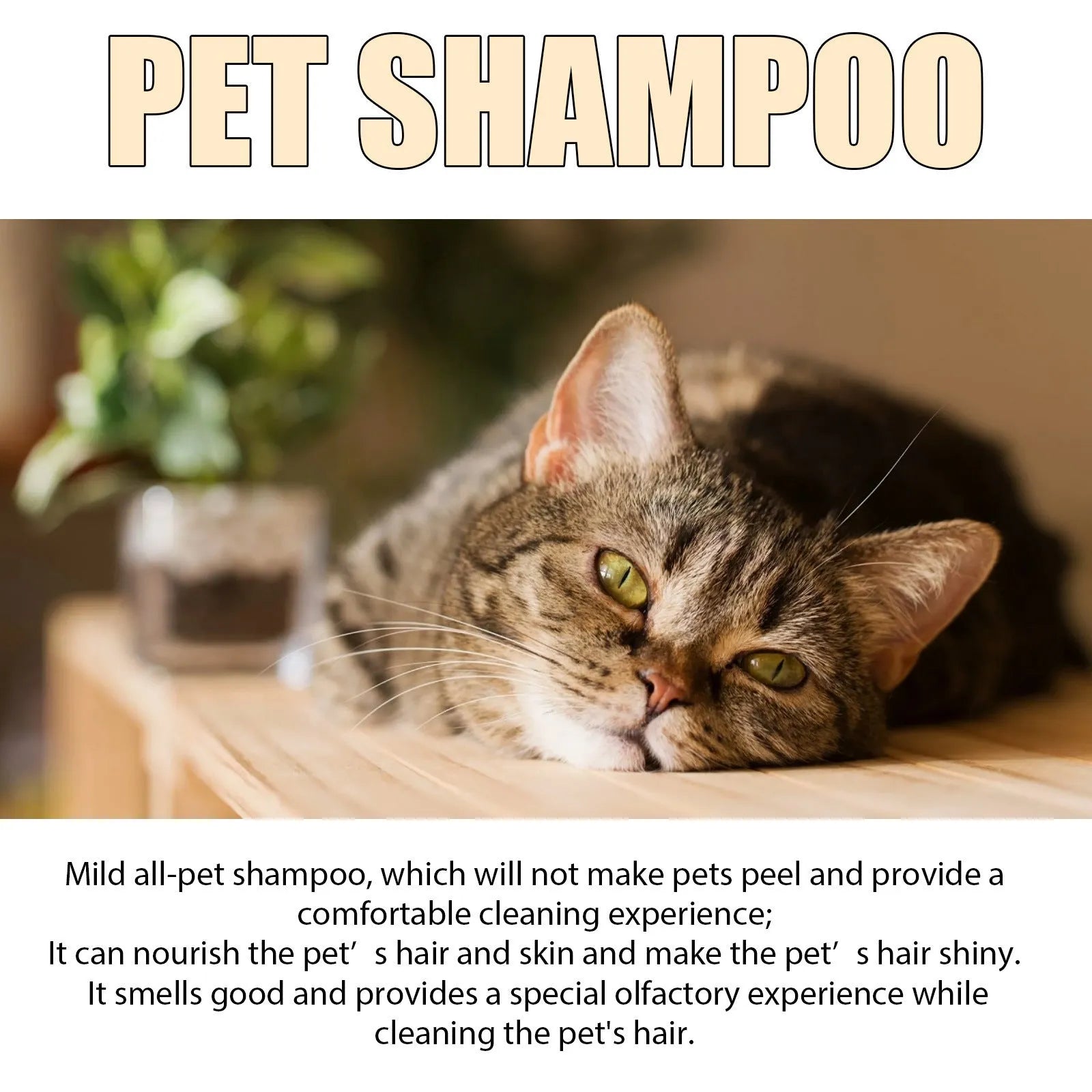A bottle of mild pet shampoo for dogs, showing 100ml and 300ml size options.