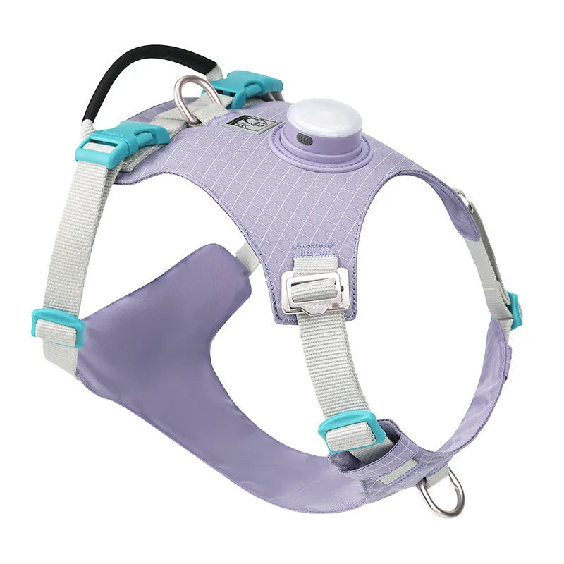 Adjustable dog chest harness with integrated LED safety light in multiple colour options