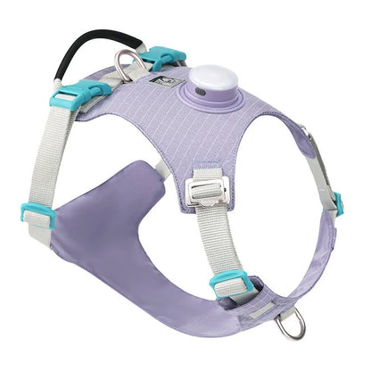 Adjustable dog chest harness with integrated LED safety light in multiple colour options