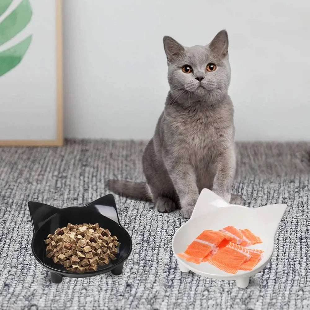 White shallow melamine pet bowl with non-slip black rubber base for cats and small dogs.