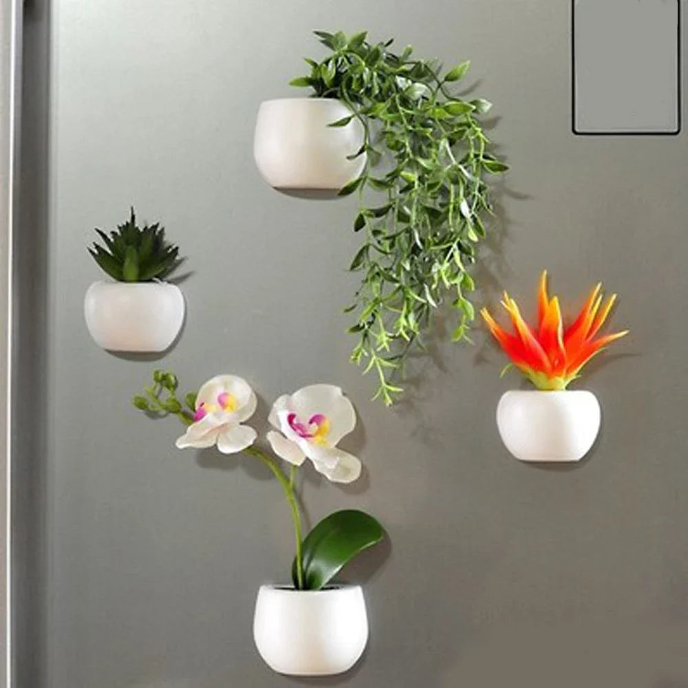 Realistic-looking succulent fridge magnets in various styles, designed to add natural charm and low-maintenance decor to any kitchen or home