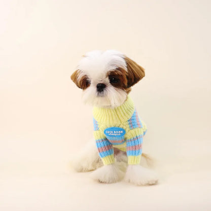 Blue and yellow striped wool-blend dog sweater for small breeds with size options