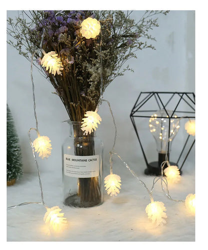 LED transparent pine nut fairy lights in warm white colour on 3 metre string