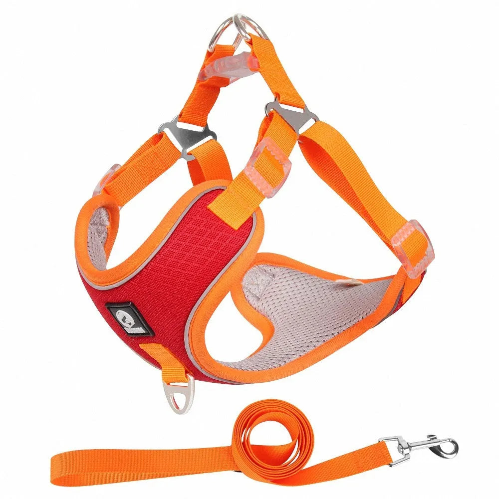 Adjustable breathable mesh dog harness with reflective piping in black, red, gray, or light purple