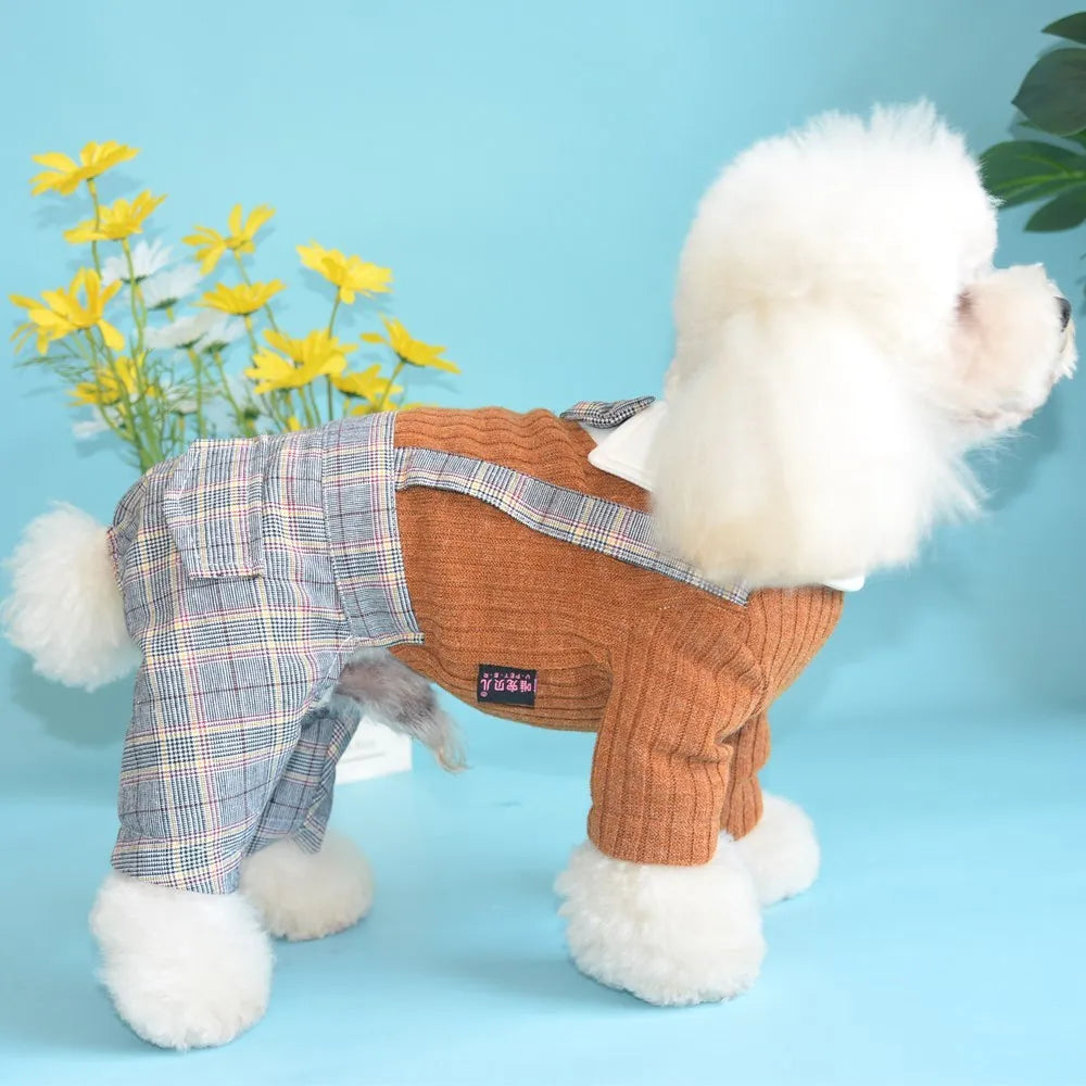 Orange cotton dog shirt for small breed dogs showing front view