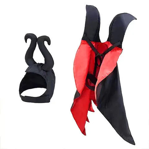 Red Halloween bat costume cloak and pointed hat on a small dog