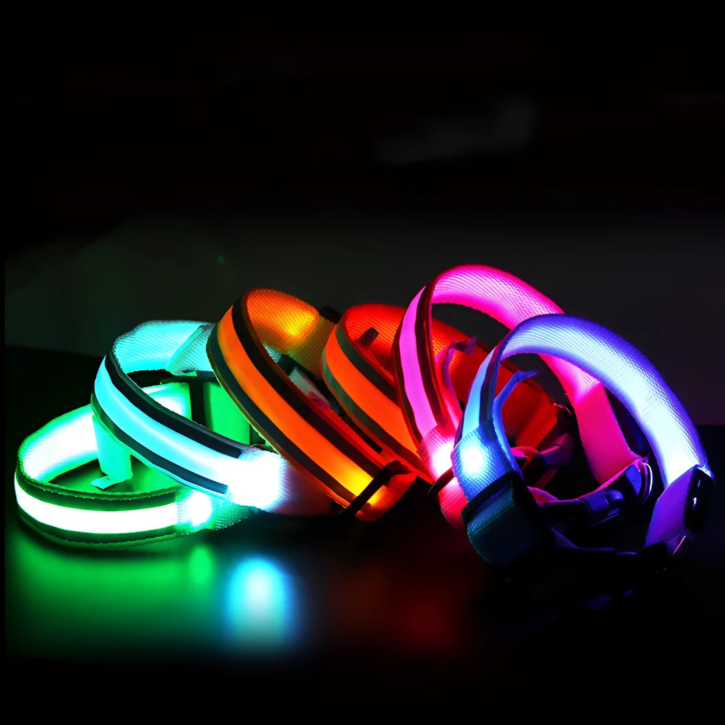 LED luminous dog collar with nylon webbing in multiple colour options showing illumination