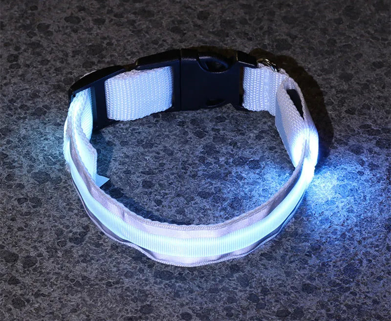 LED luminous dog collar with nylon webbing in multiple colour options showing illumination