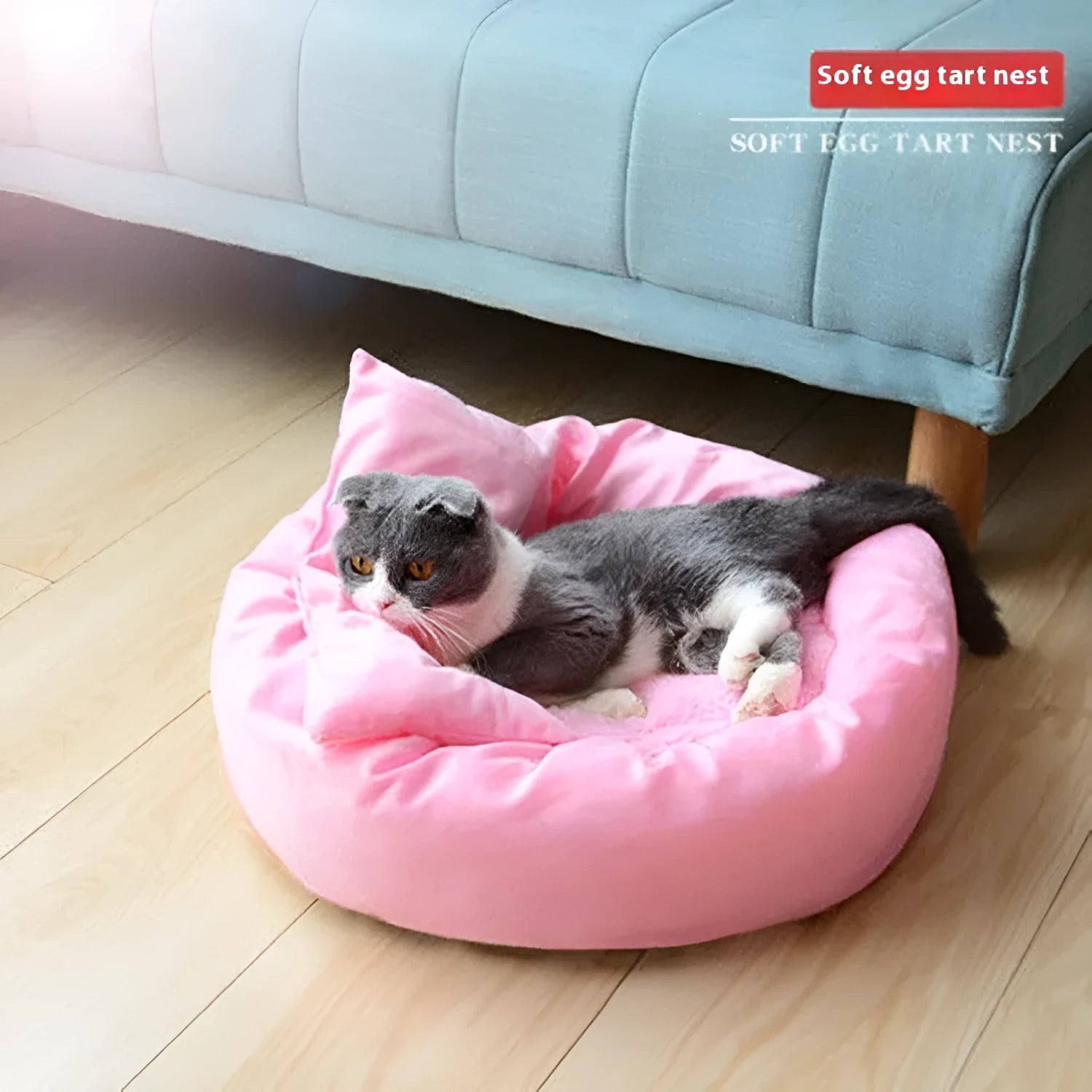 Circular cotton-filled pet dog bed with optional pillow in light grey colour